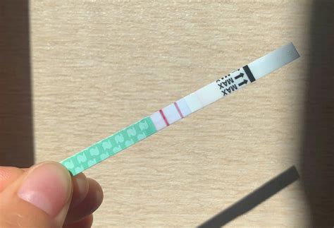 What Does a Positive Pregnancy Test Strip Look .